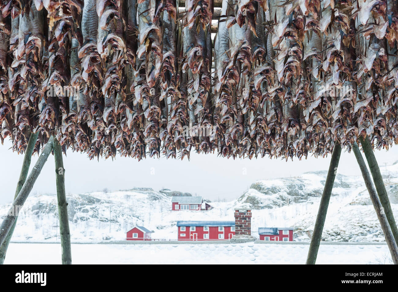 Stockfisch hängen vor einem Gebäude im winter Stockfoto