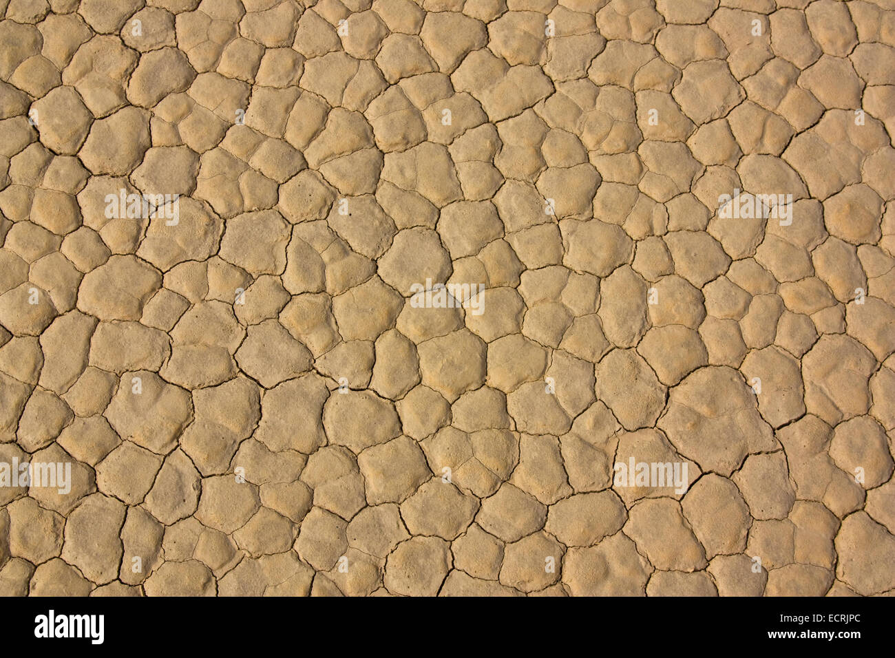 Polygonale Playa Oberfläche Stockfoto