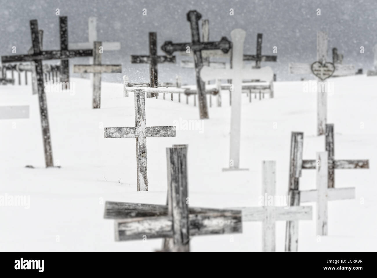 Holzkreuze im Schnee Stockfoto