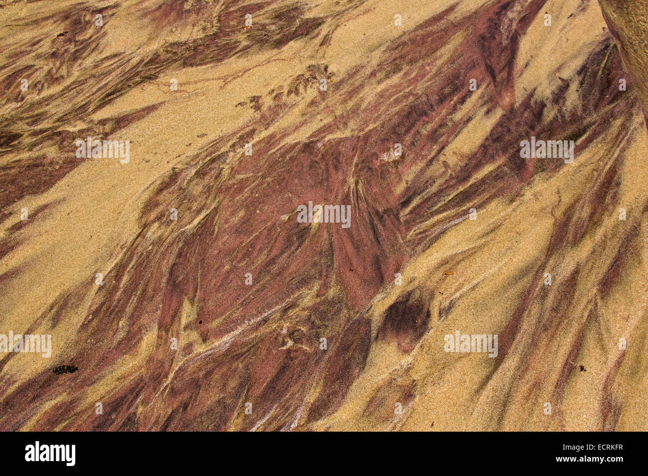 Schwerer Mineral Sand (Strand Placer Deposit) Stockfoto