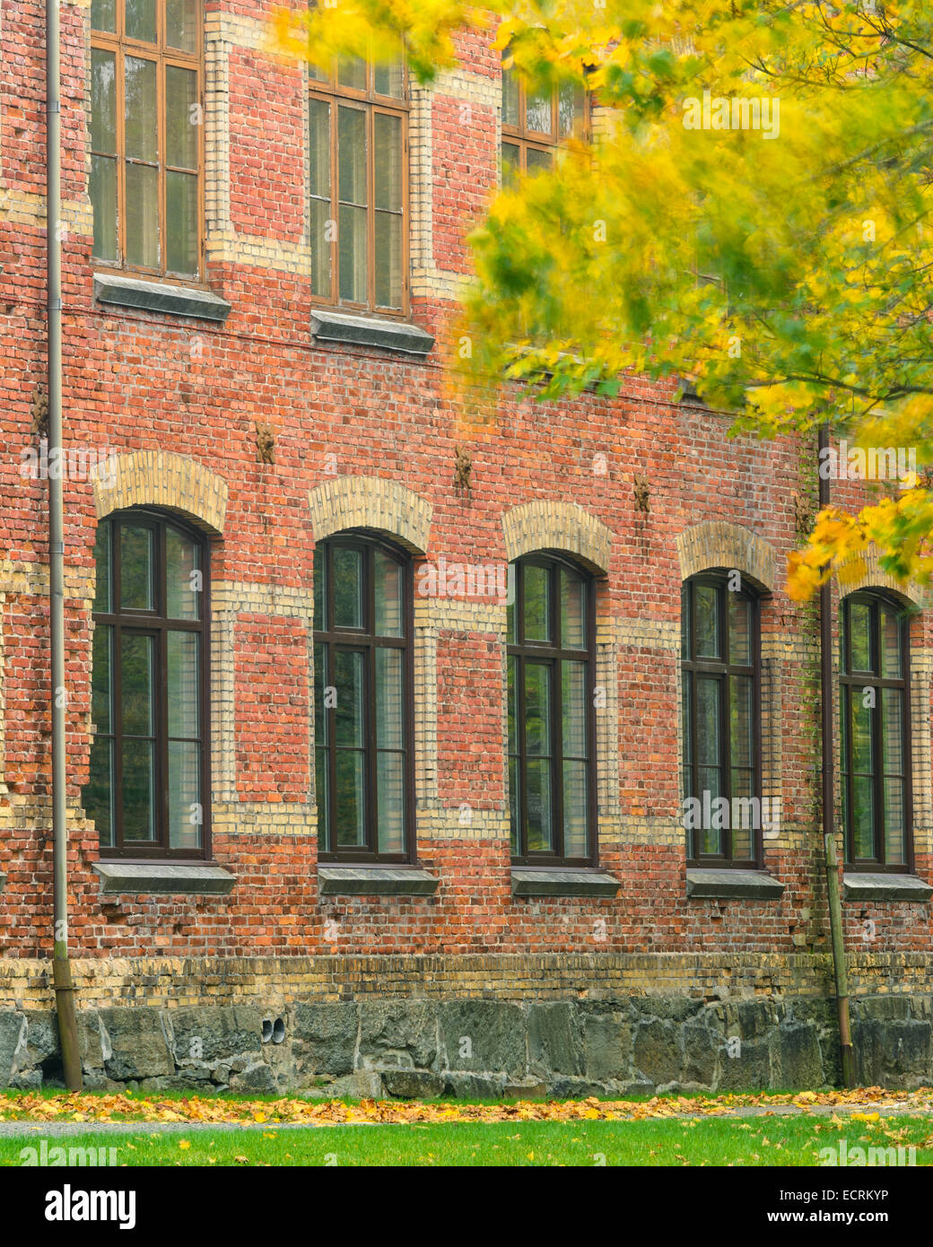 Schule aus rotem Backstein mit einem grünen Baum vor Stockfoto