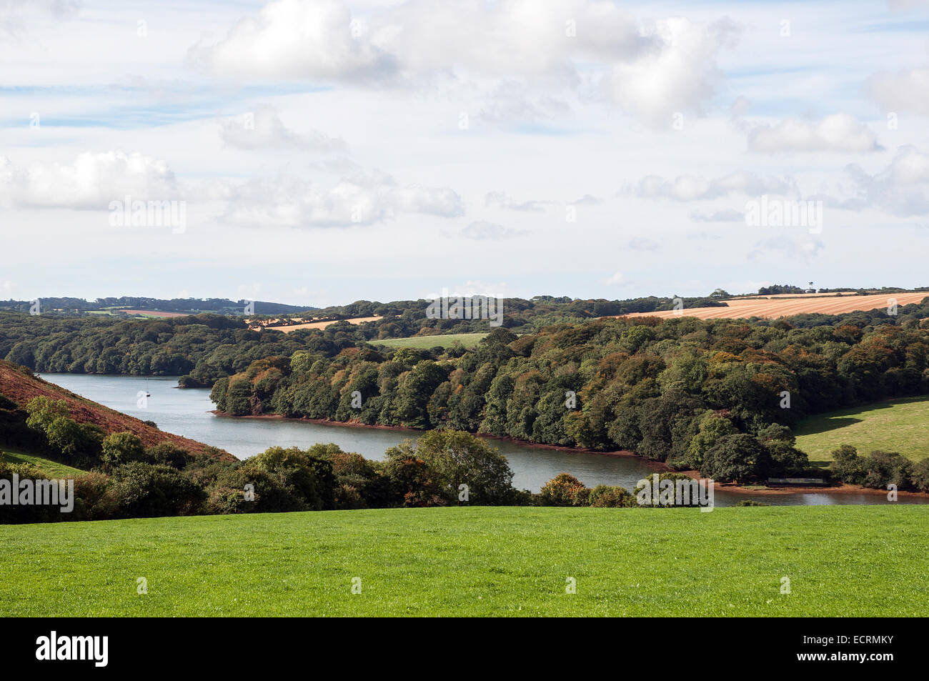 Die Landschaft rund um den Helford River in Cornwall, Großbritannien Stockfoto