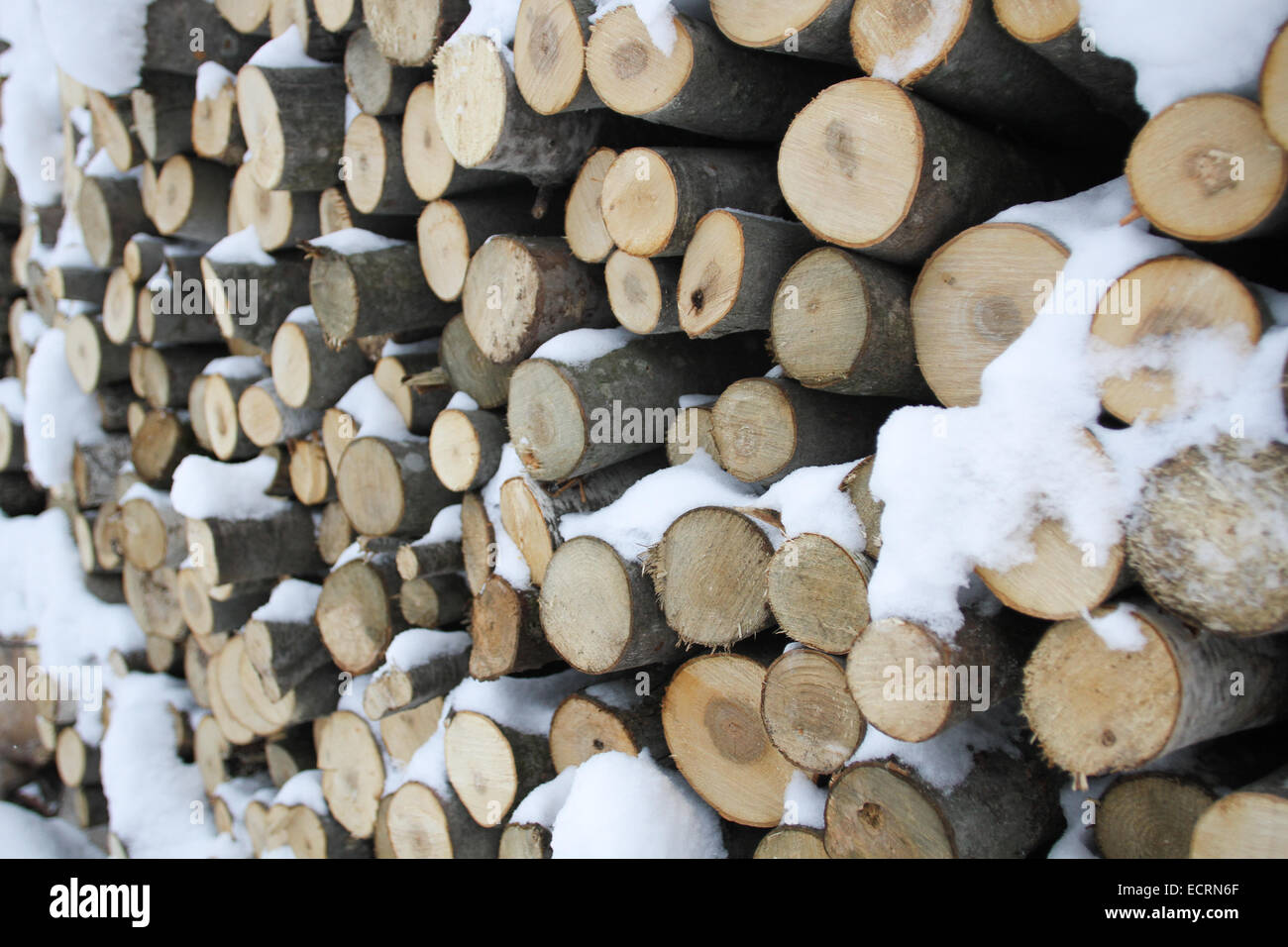 Gestapelte schneebedeckte Protokolle in Nordirland, Quebec. Stockfoto