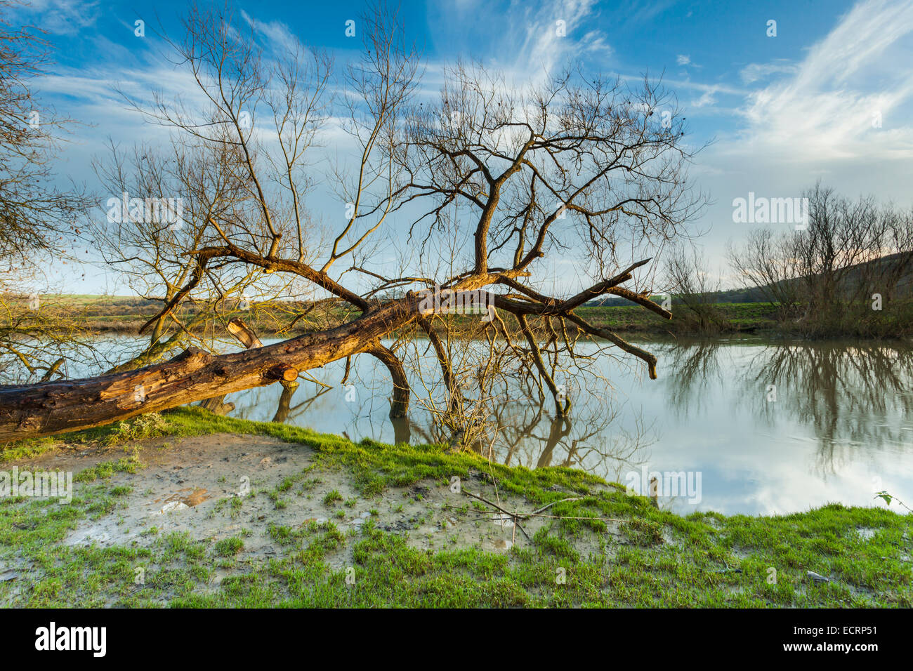 Winternachmittag im Arun-Tal in der Nähe von Houghton, East Sussex, England. Stockfoto