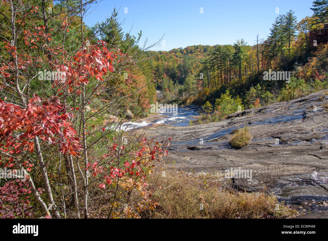 Malerischen Fluss im Herbst bei Toxaway Fälle, Nord-Carolina Stockfoto