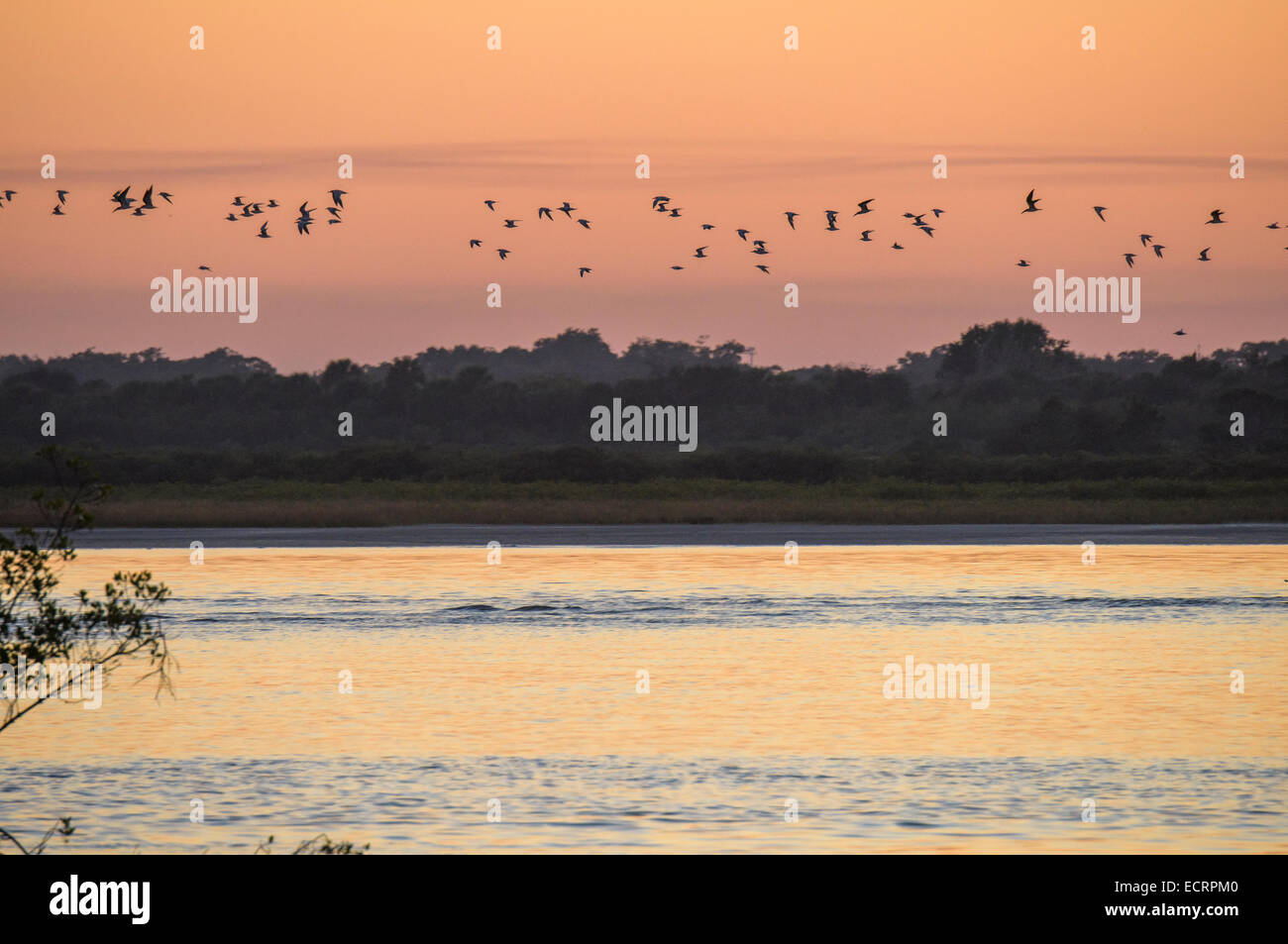 Ponce Inlet in der Abenddämmerung, Volusia County, Florida USA Stockfoto