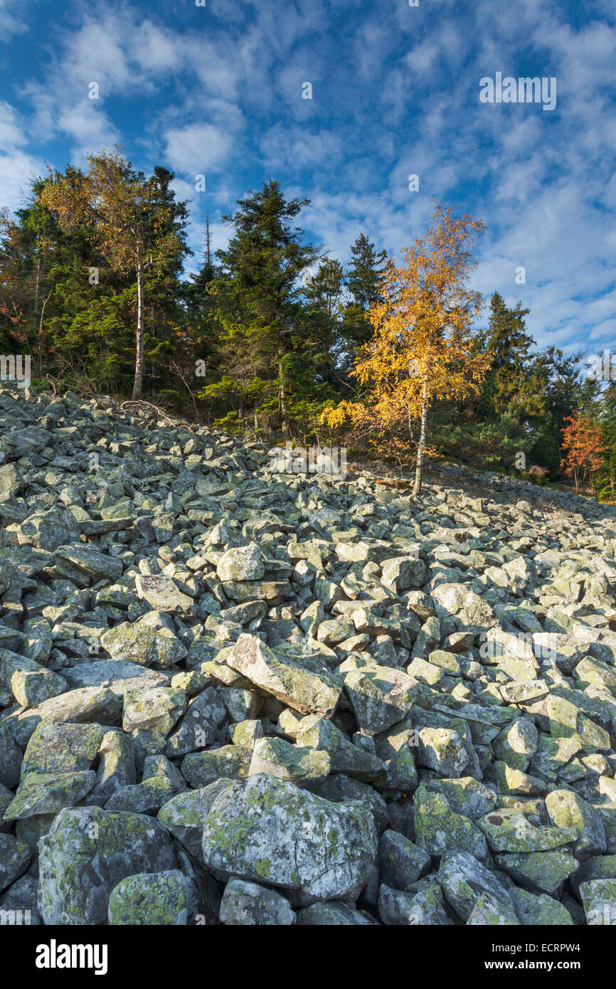 Morgen auf dem Stein laufen am Heilig-Kreuz-Berg, Swietorzyskie Berge, Polen. Stockfoto