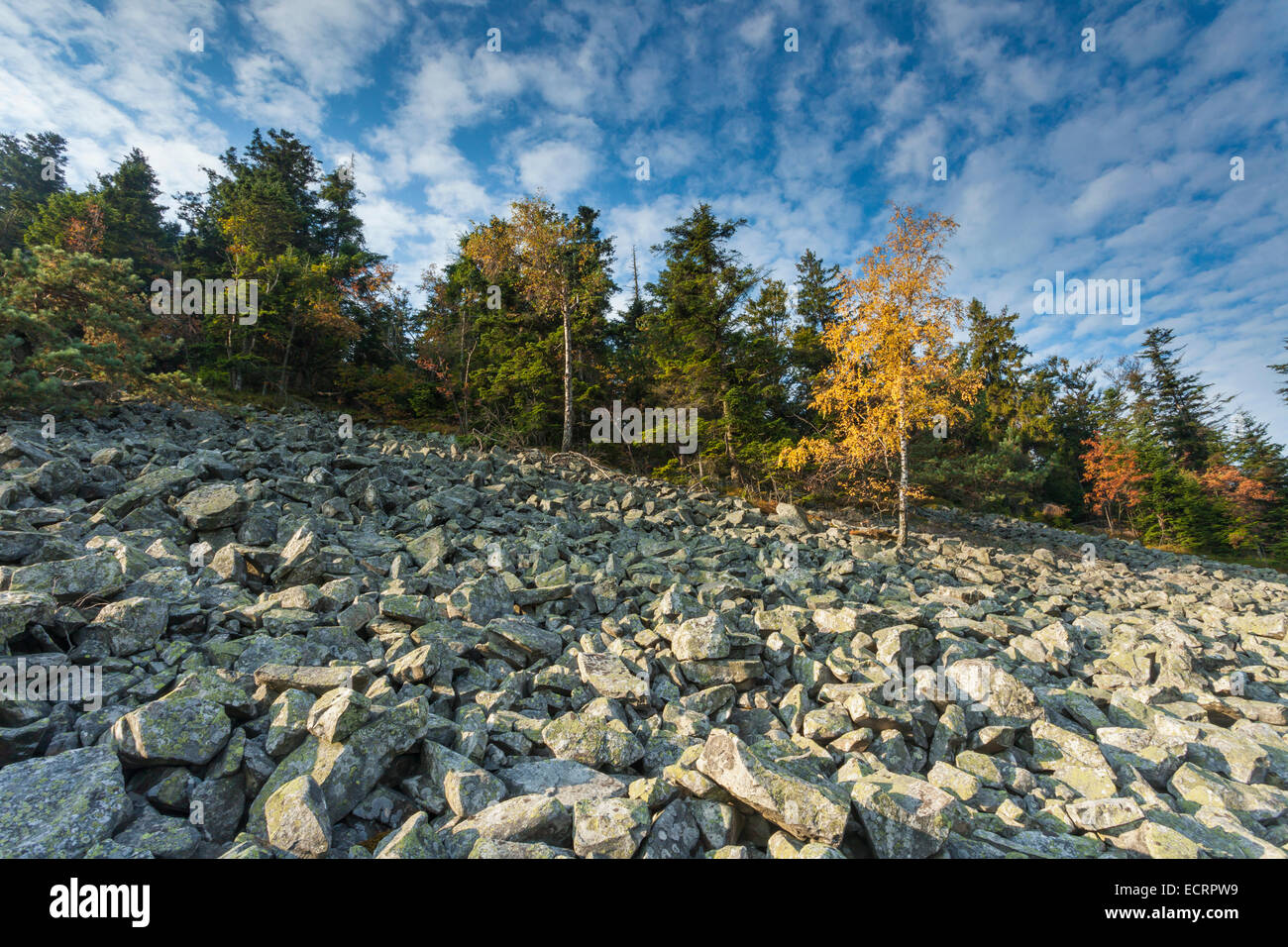 Morgen auf dem Stein laufen am Heilig-Kreuz-Berg, Swietorzyskie Berge, Polen. Stockfoto
