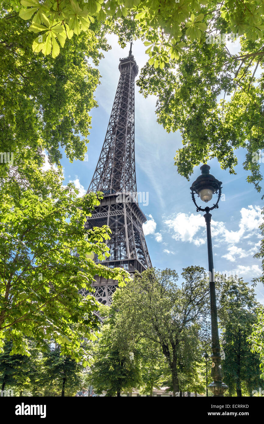 Paris. Eiffel Tower-Blick durch die Bäume. Eiffelturm Paris umrahmt von grünen Blättern im Juni. Stockfoto