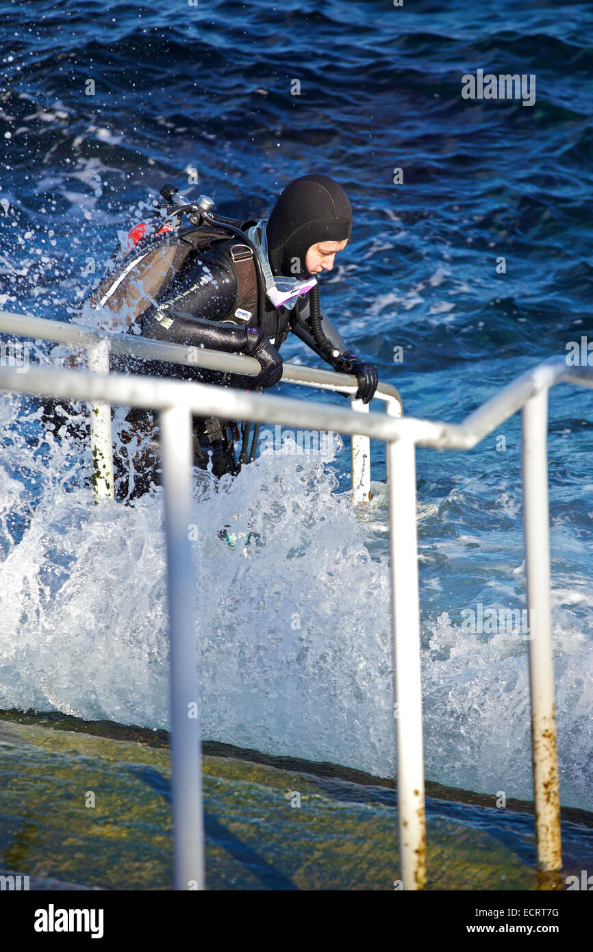 Weibliche Taucher ins Wasser in Avalon, Catalina Island, Kalifornien