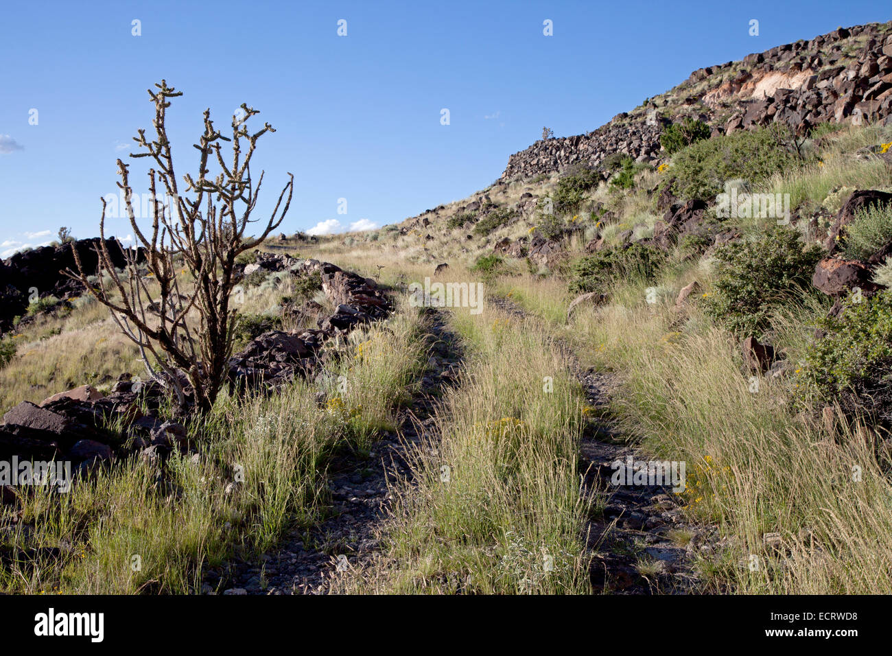 Gleisbett La Bajada Grade südlich von Santa Fe, New Mexico, das einst Teil der Nationalstraße alte Wanderwege. Stockfoto