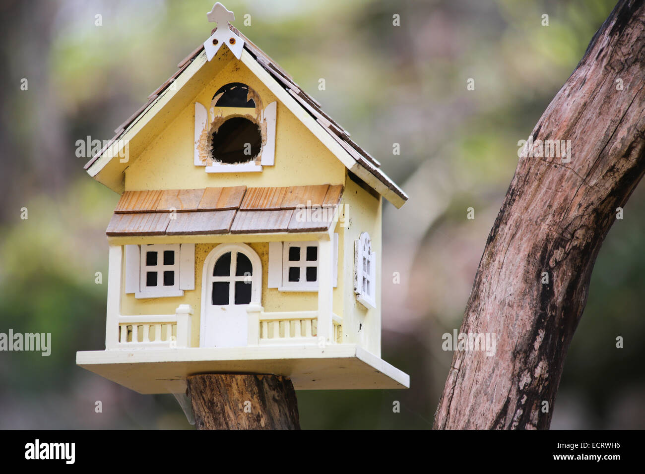 Niedlichen Vogelhäuschen am Haus erinnert mich an eine kleine viktorianische Gästehaus für die Vögel Stockfoto