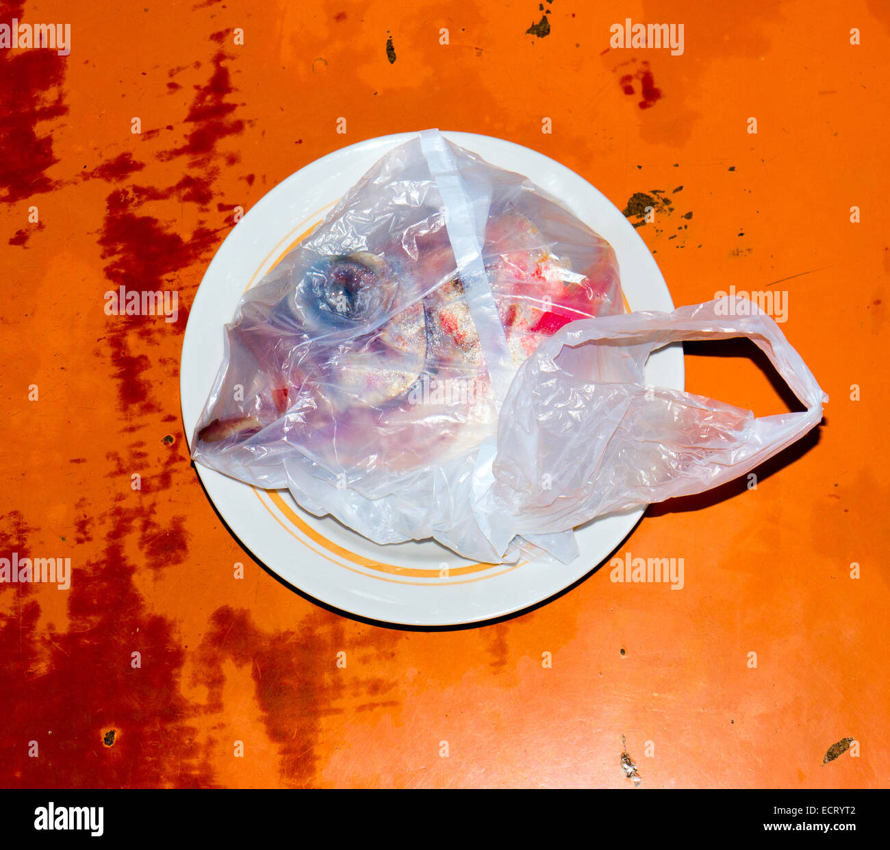 Fischkopf. Stockfoto