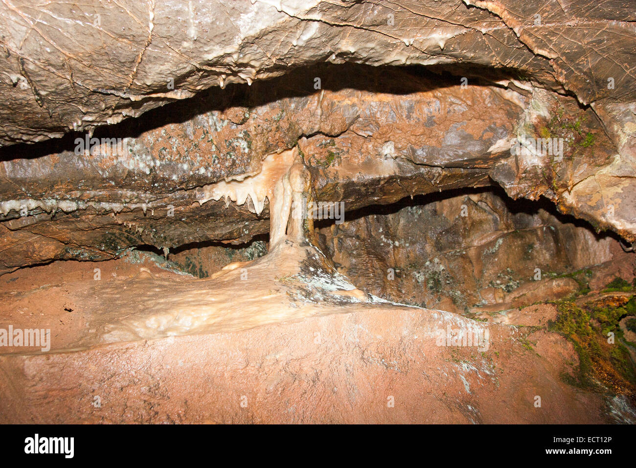 Cheddar Gorge Somerset England Stockfoto