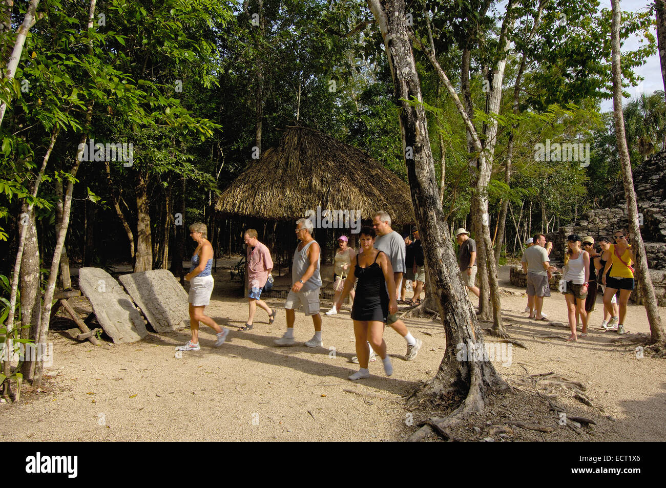 Touristen und Stele und Maya-Ruinen von Coba, Quintana Roo Zustand, Riviera Maya, Halbinsel Yucatan, Mexiko Stockfoto