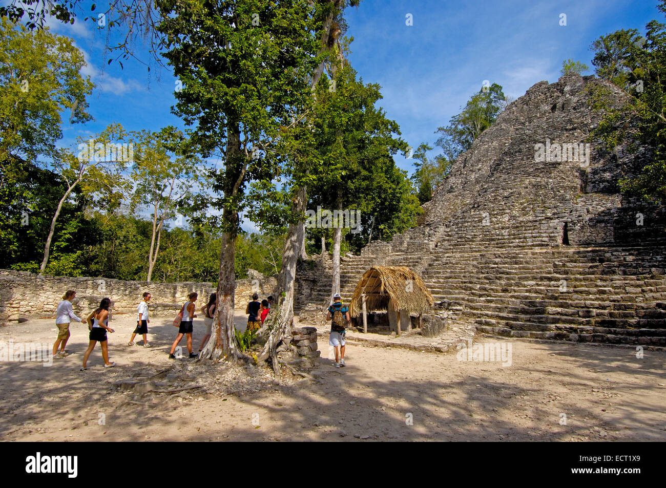 Iglesia Ruine und Stele, Maya-Ruinen von Coba, Quintana Roo Zustand, Riviera Maya, Halbinsel Yucatan, Mexiko Stockfoto