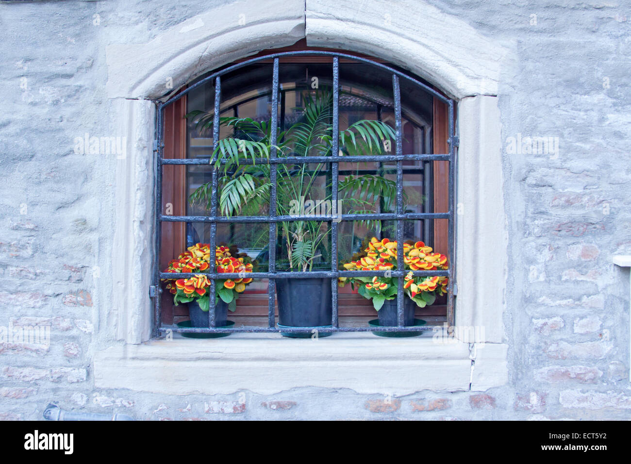 Fenster-Venedig-Italien-TV000256 Stockfoto