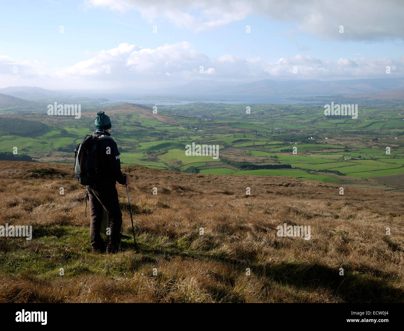 Ein Wanderer auf dem Weg Mullaghmesha Schleife, County Cork, Irland.  In der Ferne ist Bantry Bay und die Caha Berge. Stockfoto
