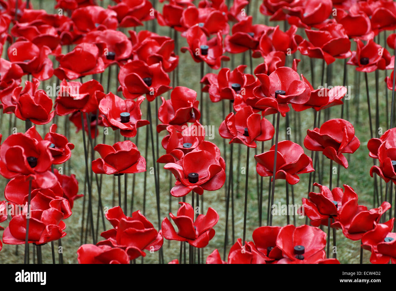 Die Kunstinstallation "Blut Mehrfrequenzdarstellung Länder und Meere of Red", der Tower of London Stockfoto