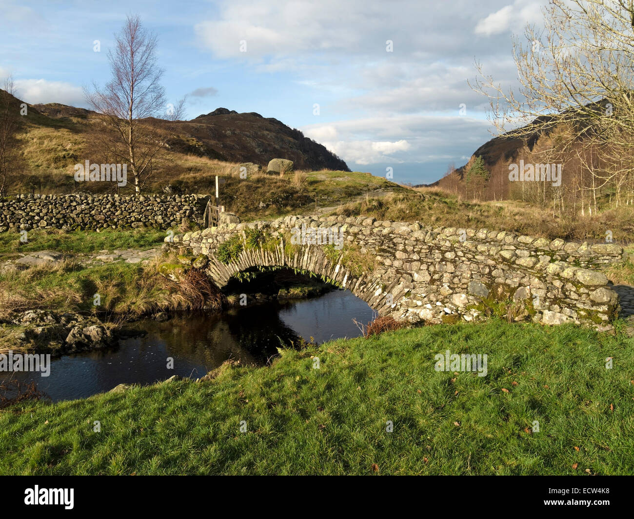 Alte gewölbte steinerne Lastesel Brücke über Blea Tarn Gill Fluss, Watendlath, Lake District, Cumbria, England, UK. Stockfoto
