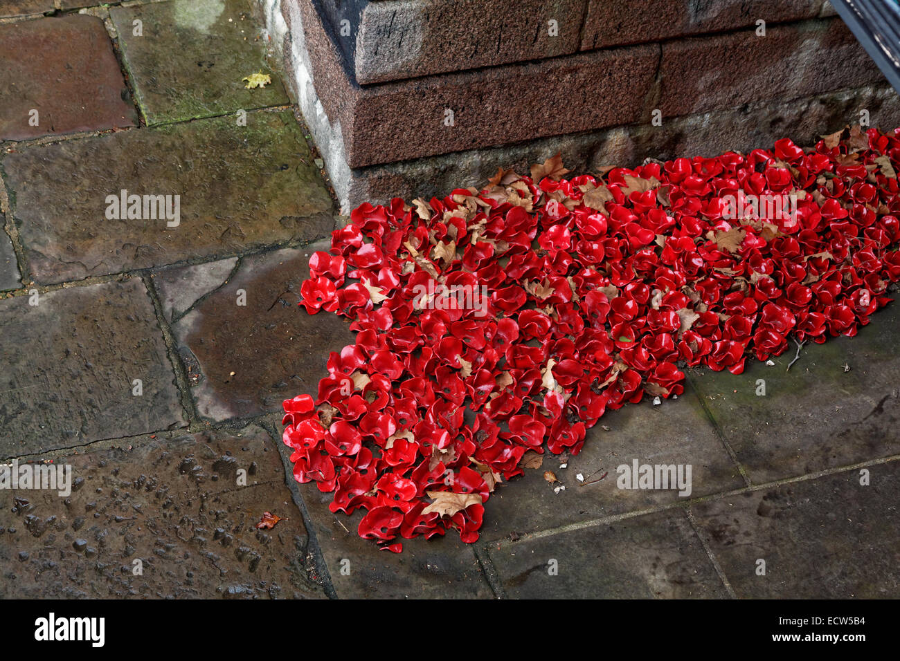 Blut Mehrfrequenzdarstellung Lands & Meere rot - detail Stockfoto