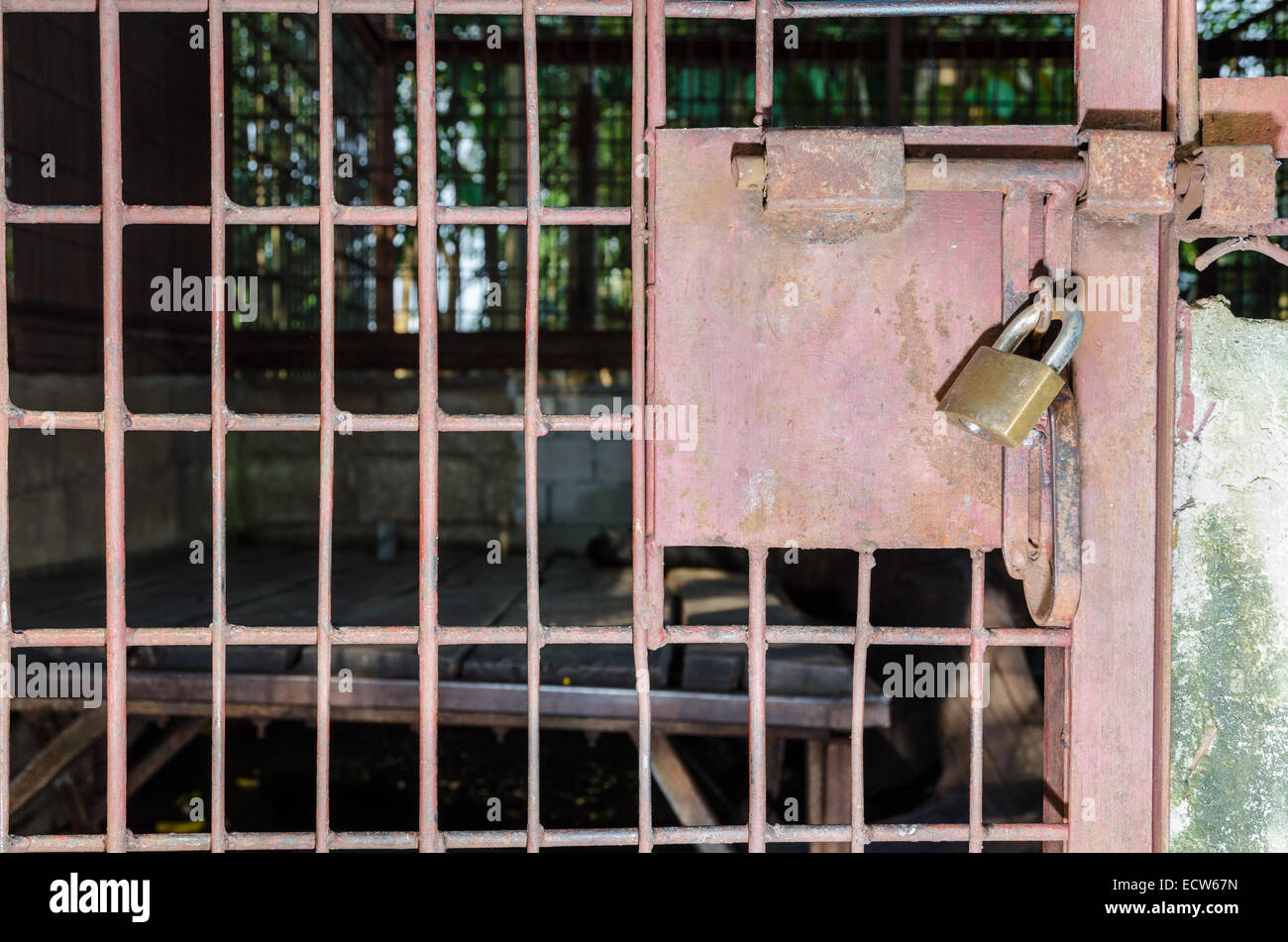 Stahlkäfig Tür war mit einem Schlüssel verschlossen. Das Problem der illegalen Wildtierhandel Stockfoto