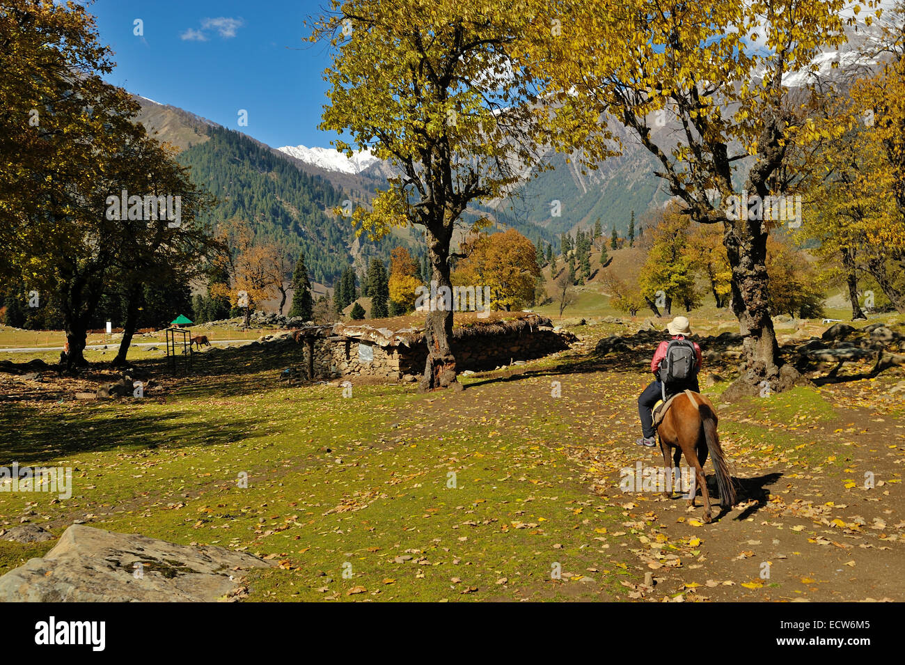 Willkommen Sie bei Sonamarg Dorf, Kaschmir, Nord-Indien Stockfoto