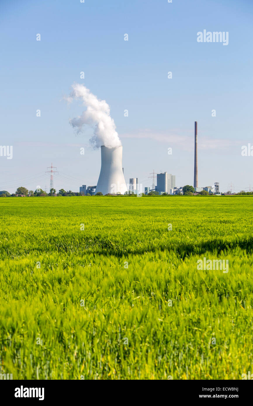STEAG Kohlekraftwerk Walsum auf dem Rhein bei Duisburg, riesigen Turm Kühlblock 10, Stockfoto