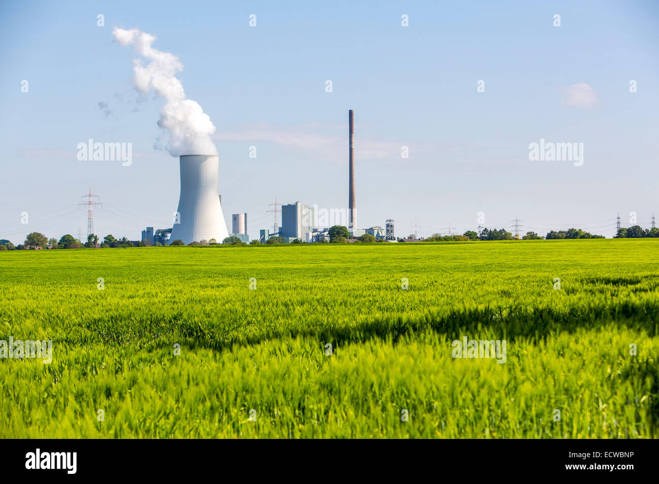 STEAG Kohlekraftwerk Walsum auf dem Rhein bei Duisburg, riesigen Turm Kühlblock 10, Stockfoto