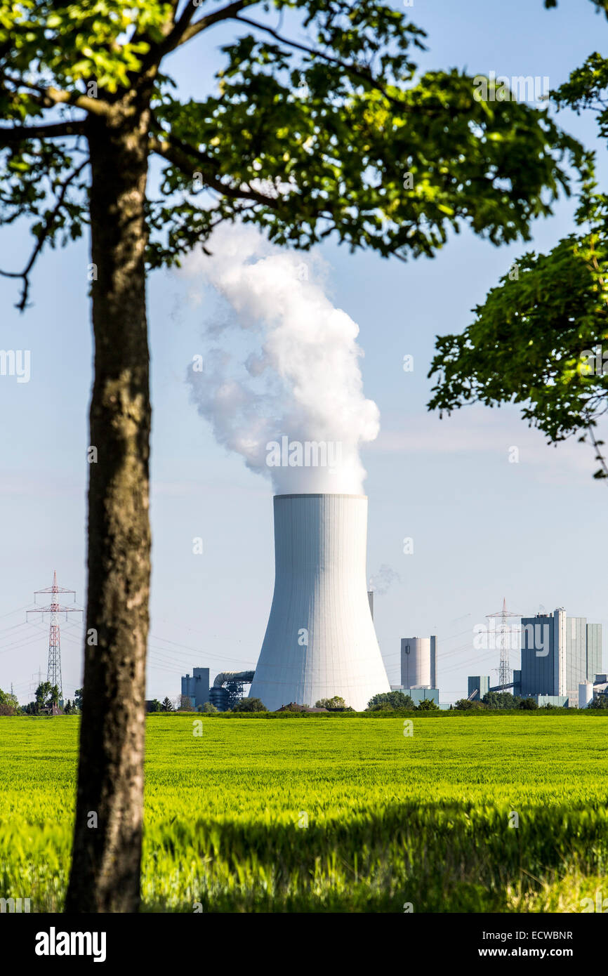 STEAG Kohlekraftwerk Walsum auf dem Rhein bei Duisburg, riesigen Turm Kühlblock 10, Stockfoto