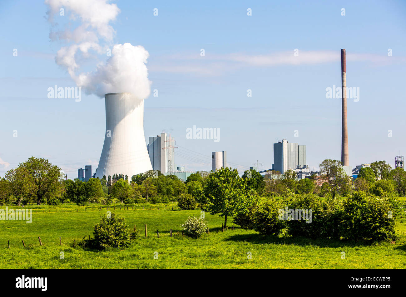 STEAG Kohlekraftwerk Walsum auf dem Rhein bei Duisburg, riesigen Turm Kühlblock 10, Stockfoto