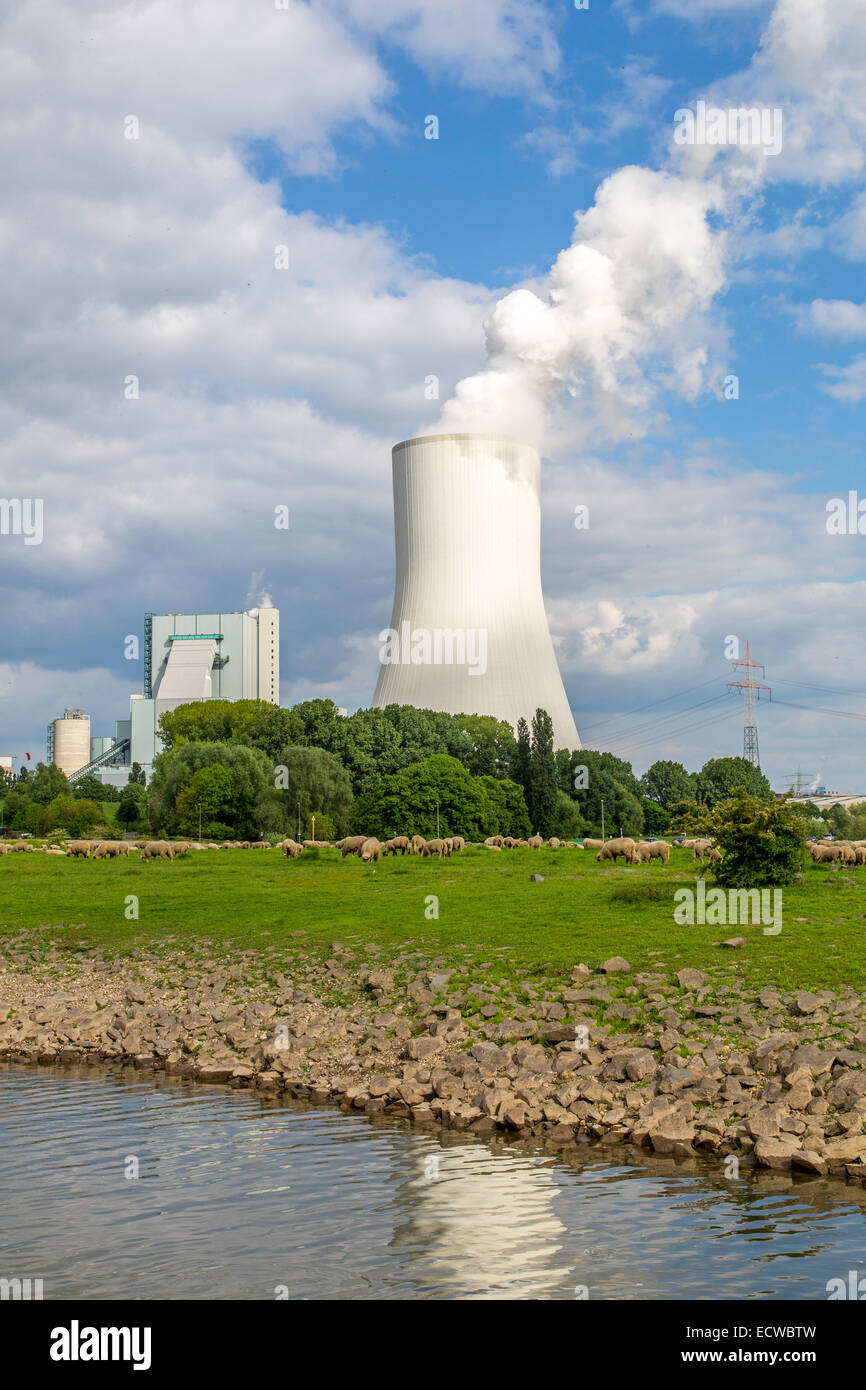 STEAG Kohlekraftwerk Walsum auf dem Rhein bei Duisburg, riesigen Turm Kühlblock 10, Stockfoto