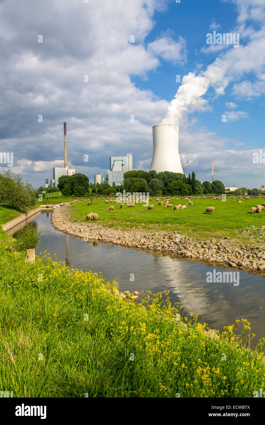 STEAG Kohlekraftwerk Walsum auf dem Rhein bei Duisburg, riesigen Turm Kühlblock 10, Stockfoto