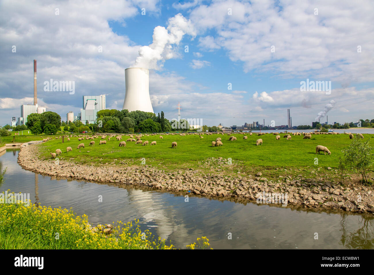 STEAG Kohlekraftwerk Walsum auf dem Rhein bei Duisburg, riesigen Turm Kühlblock 10, Stockfoto