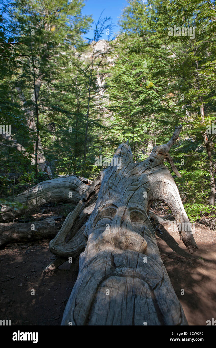Geschnitzte Baum in der Form eines Elfen. El Bosque Tallado (geschnitzte Wald). El Bolsón. Argentinien Stockfoto