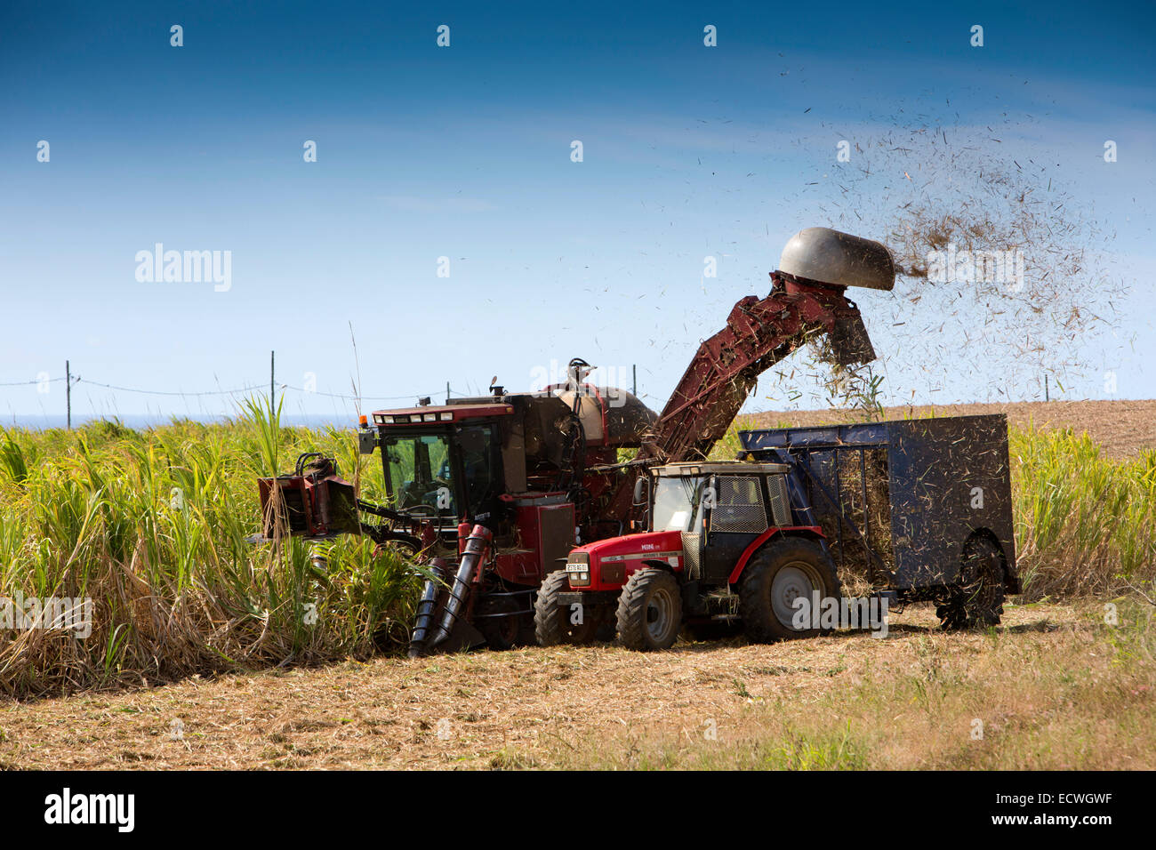 Flic En Flac, Mähdrescher, die Ernte von Zuckerrohr-Ernte Stockfoto