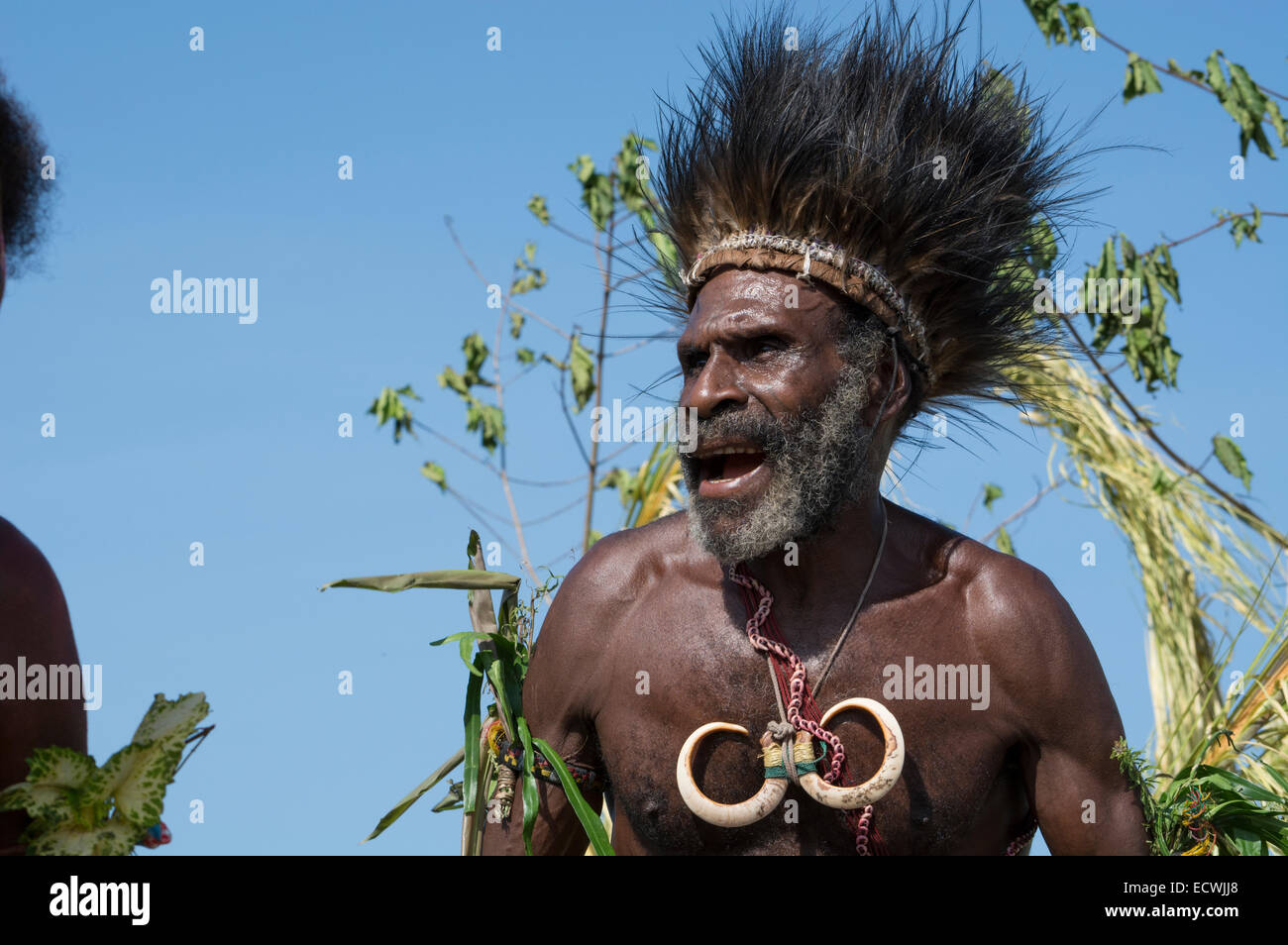 Melanesien, Papua-Neu-Guinea, Sepik River Gebiet, Dorf von Kopar. Typische Sing-Sing willkommen Tanz. Stockfoto