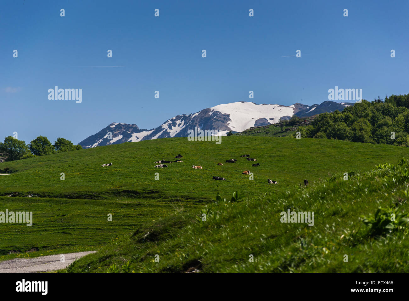 Conca dei Parpari in Roverè Veronese - Verona - Italien Stockfoto