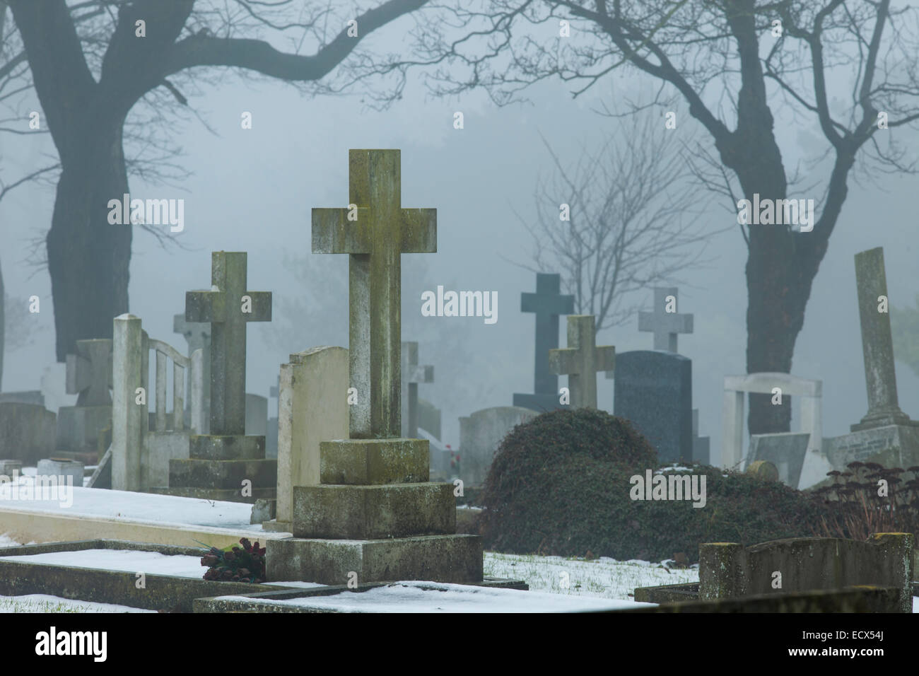 Nebligen Wintertag auf einem Friedhof in Brighton, East Sussex, England. Stockfoto