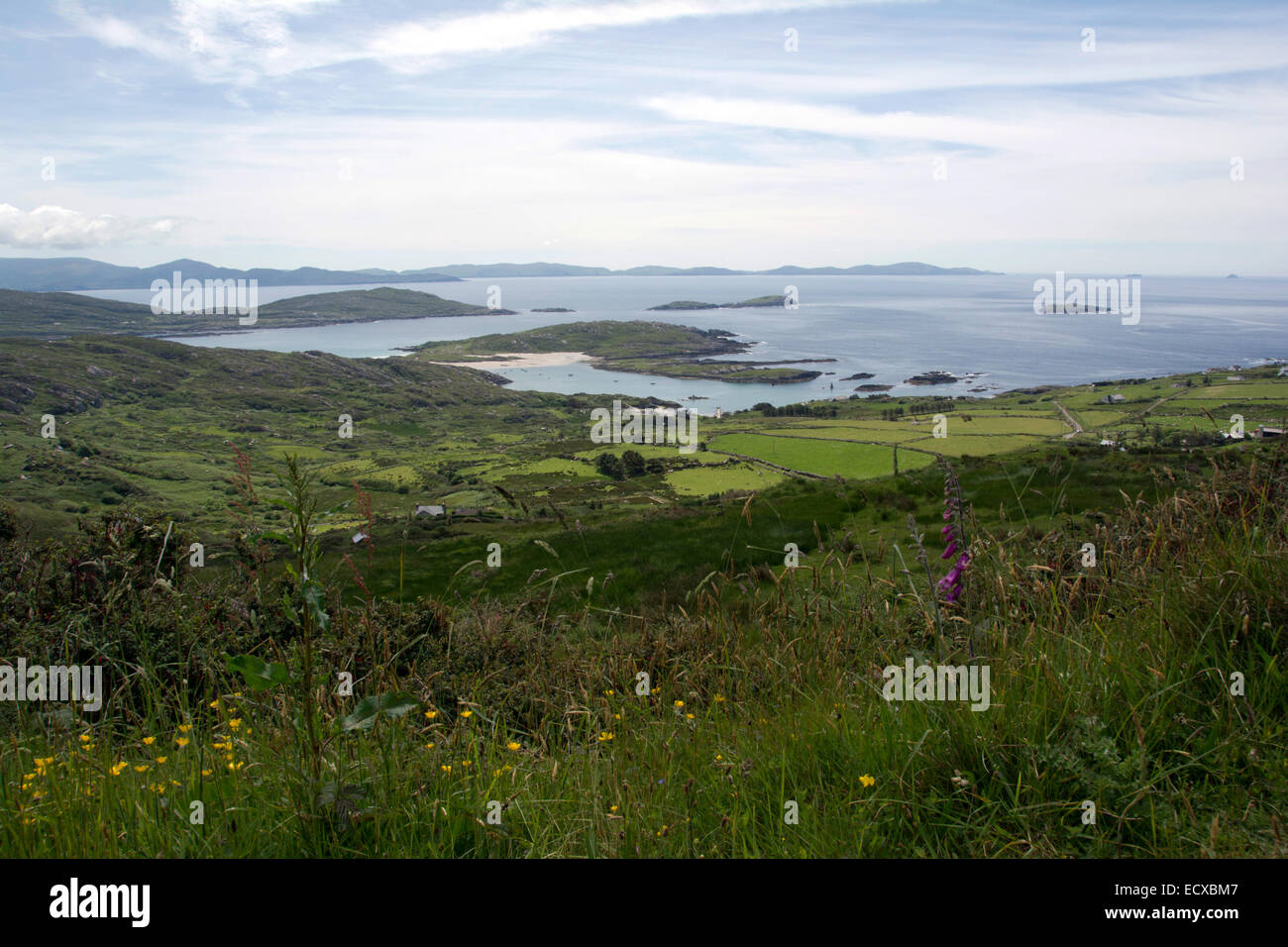EIRE; KERRY;  BETRIEBE AUF DEM RING OF KERRY ROUTE Stockfoto