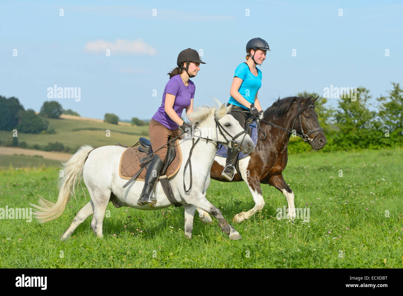 Zwei Mädchen auf Ponys galoppieren auf einer Wiese Stockfoto