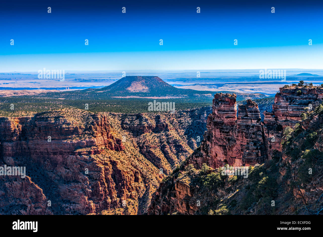 Grand Canyon, Arizona, USA Stockfoto