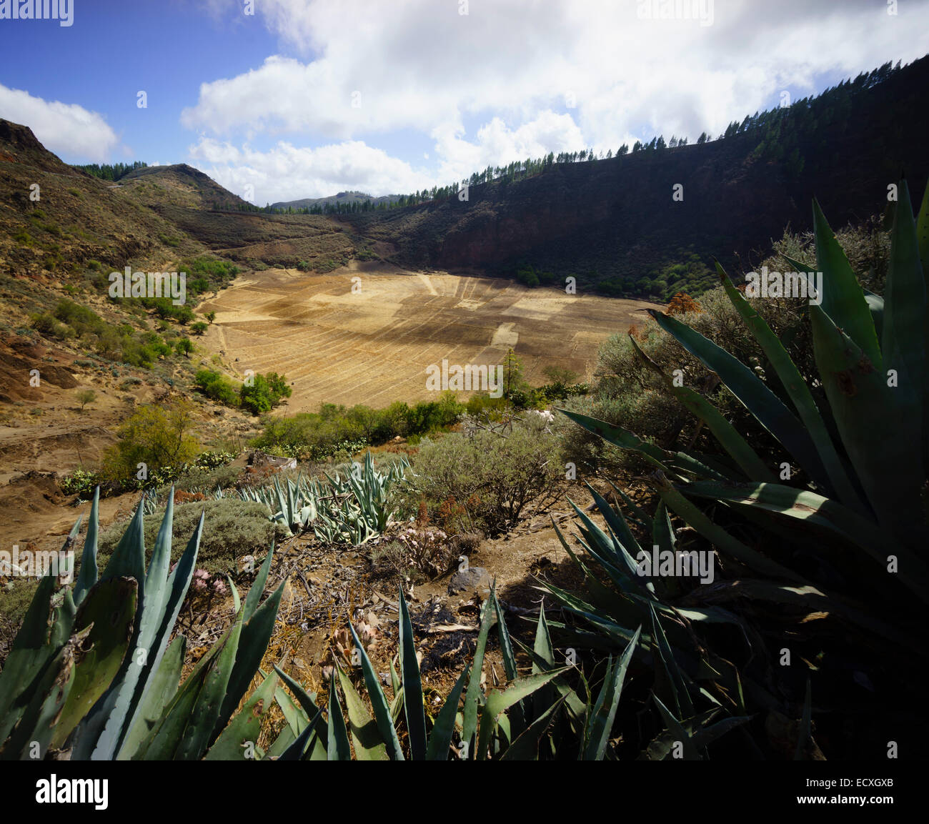 Gran Canaria - Landschaft am Los Marteles. GC-600 unterwegs. Der Krater des Los Marteles. Stockfoto