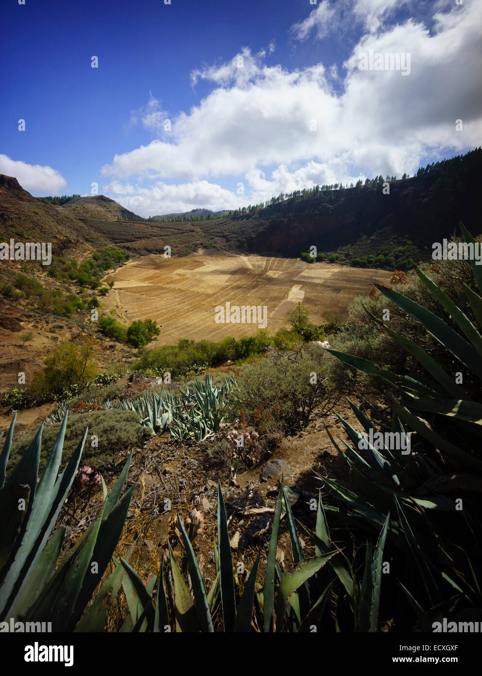 Gran Canaria - Landschaft am Los Marteles. GC-600 unterwegs. Der Krater des Los Marteles. Stockfoto