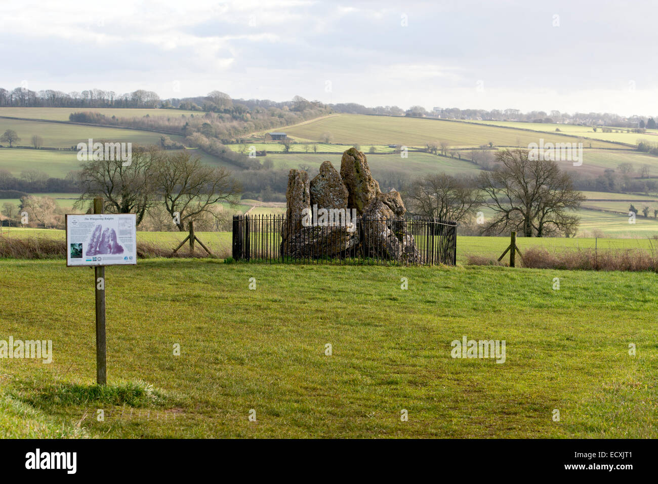 Die flüsternden Ritter an den Rollright Stones, Oxfordshire, Vereinigtes Königreich Stockfoto