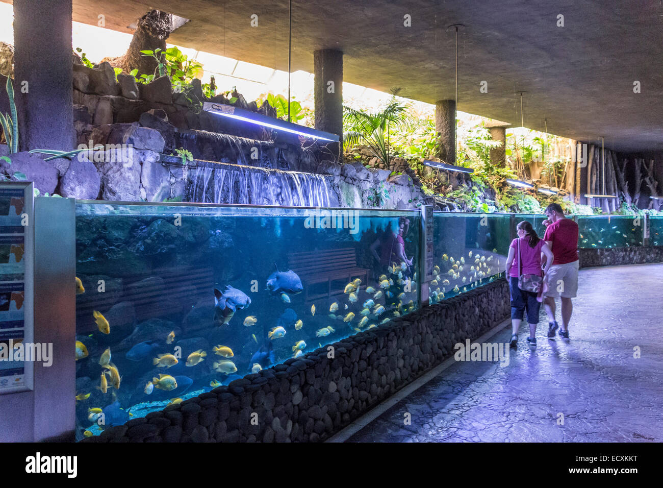 Gran Canaria - Palmitos Park.  Aquarium. Stockfoto