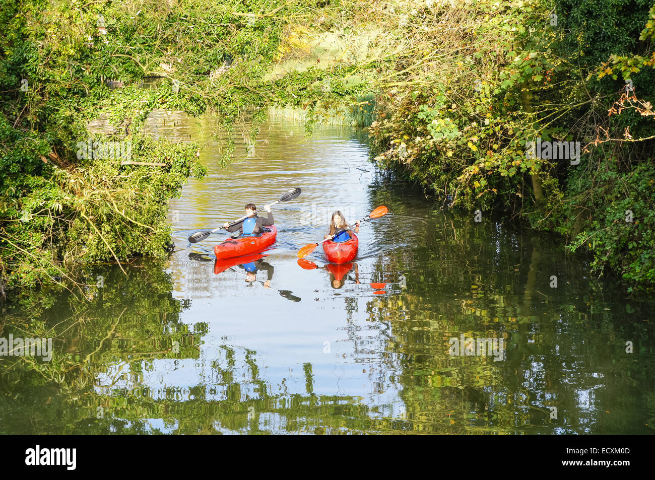 Menschen, die auf dem Fluss Cam in Cambridge Cambridgeshire England Großbritannien Kajak fahren Stockfoto