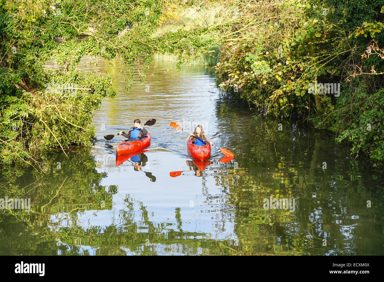 Menschen, die auf dem Fluss Cam in Cambridge Cambridgeshire England Großbritannien Kajak fahren Stockfoto