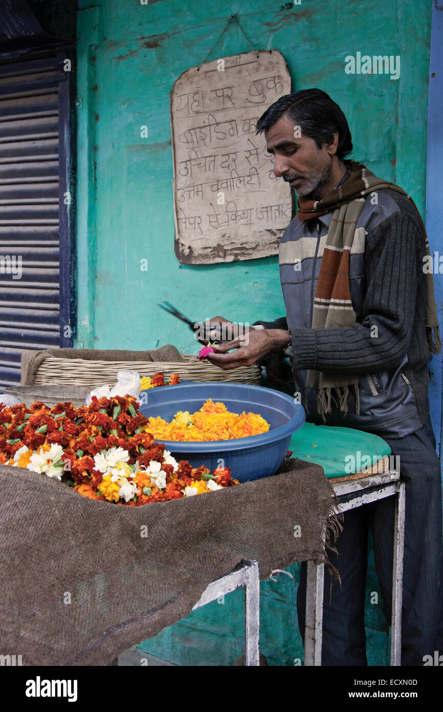 Blume-Anbieter in die blaue Stadt, vielbereiste, Rajasthan, Indien Stockfoto