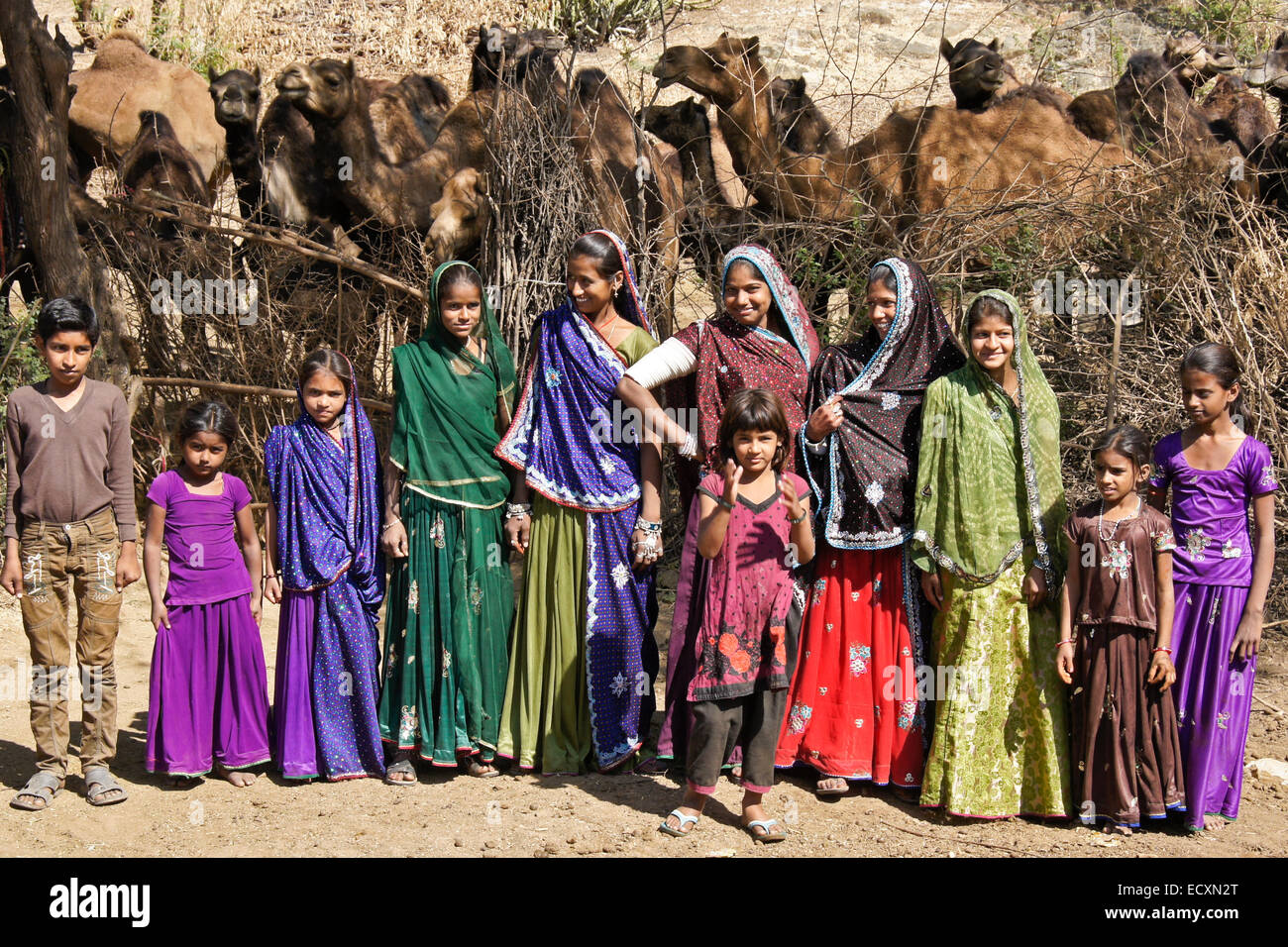 Semi-nomadische Rabari Frauen und Kinder mit Kamelen, Gujarat, Indien Stockfoto